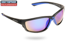 Phoenix Black And Blue Polycarbonate Sports